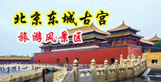 欧洲黑紫色大肉棒内射穴穴中国北京-东城古宫旅游风景区